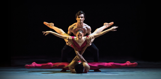 Entrez dans la danse