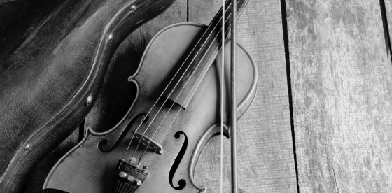 MOZART & CO