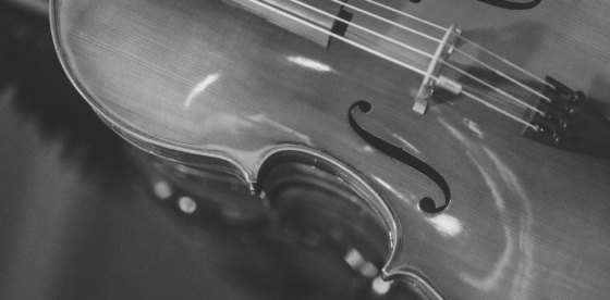 Park / Chostakovitch / Brahms