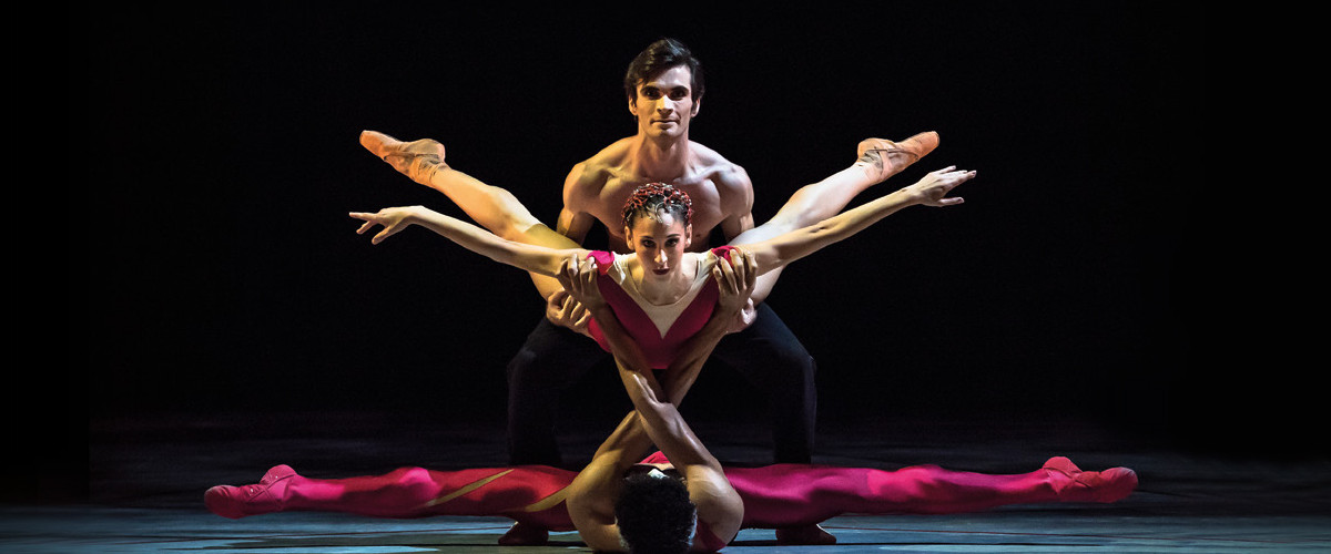 Entrez dans la danse